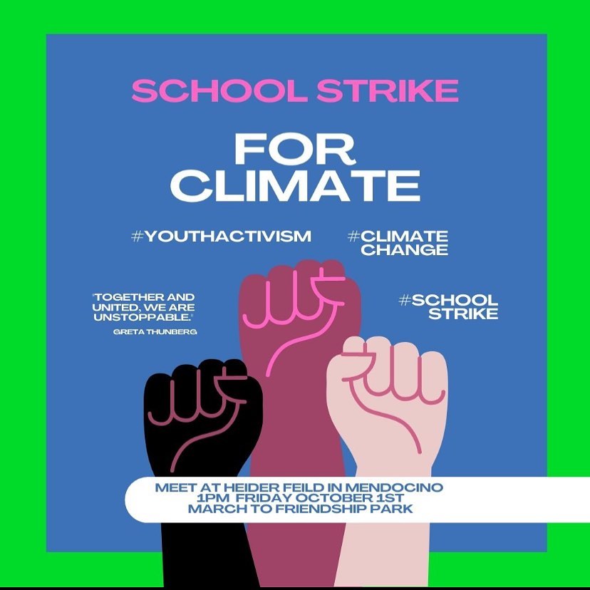 Come out to support students in their strike for climate!