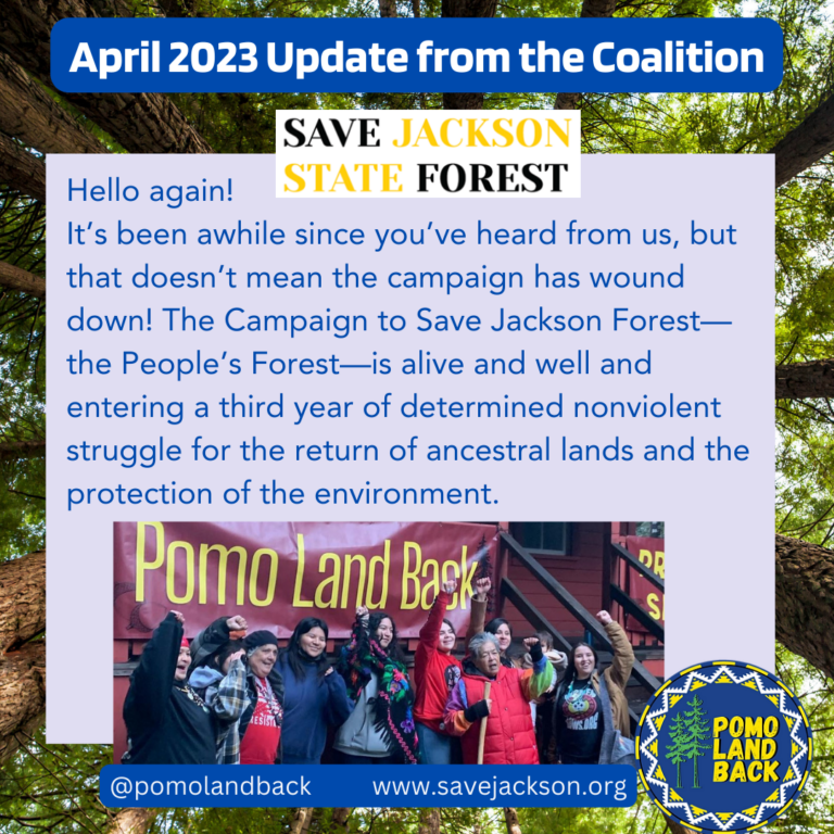 Jackson Forest Update April 2023