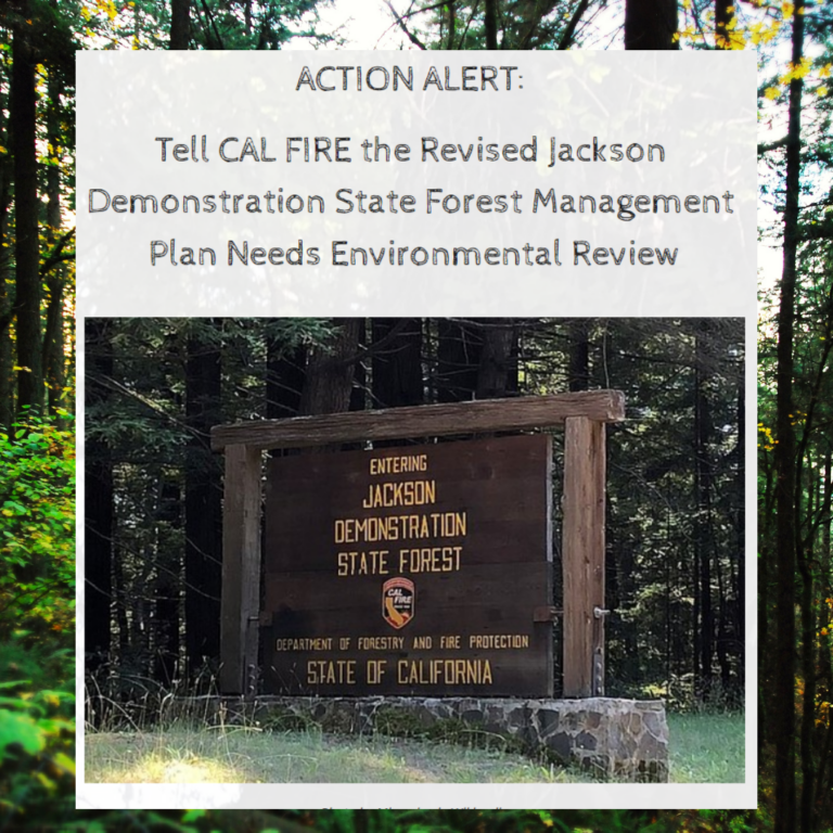 Alert! CalFire has proposed new Timber Harvest Plans in JDSF, and is seeking approval by the Jackson Advisory Group on September 15th.