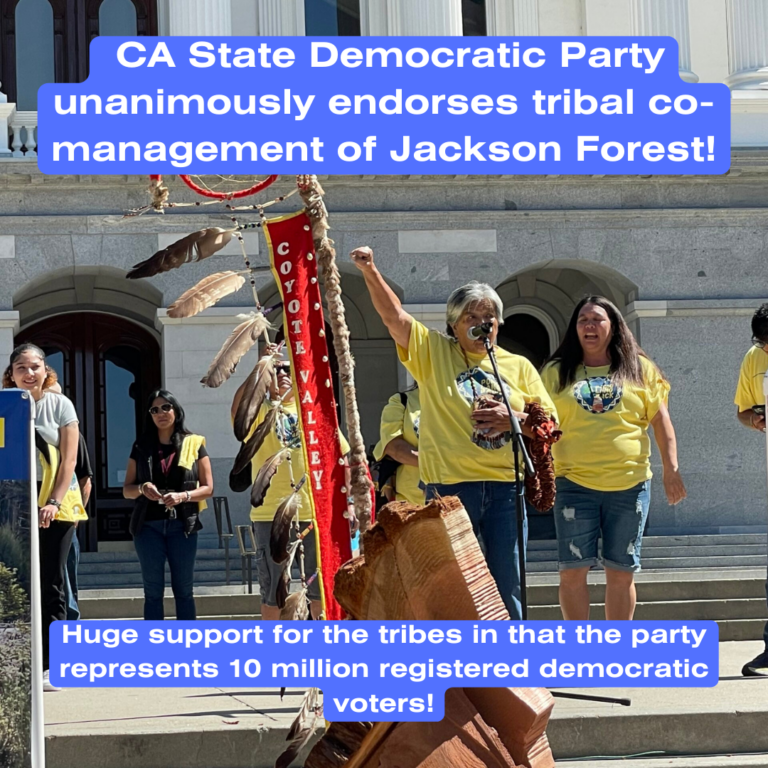 California Democratic Party Votes to Support Pomo Co-management of Jackson Forest